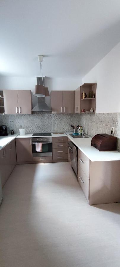 Hysteria Central Flat Oradea Extérieur photo